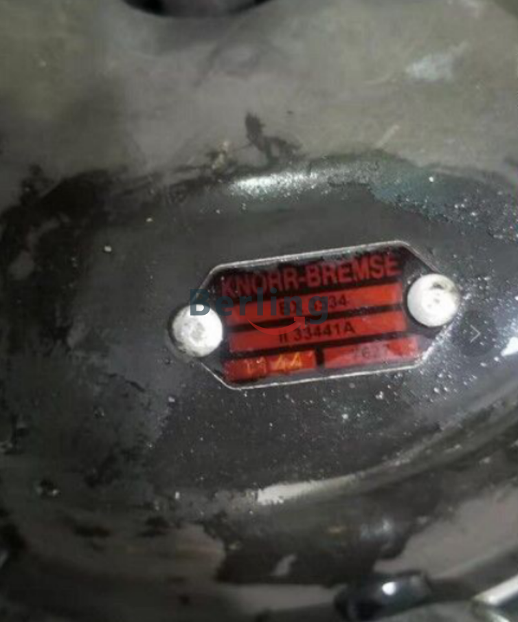 德國BUHLER液位開關NS25/25 AMSK661 L1=1000  
