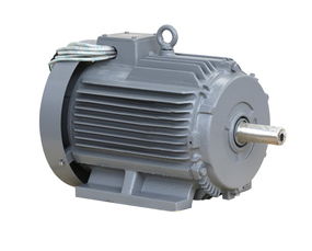 德國(guó),MARELLI MOTORI 電機(jī)