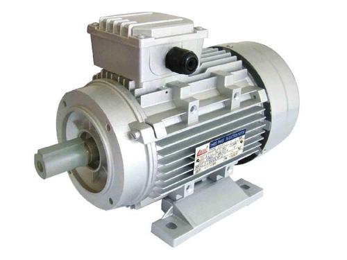 德國ELBTALWERK異步電機