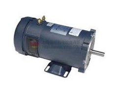美國LEESON ELECTRIC交流電機