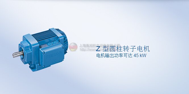 DEMAG電機 Z型圓柱轉子電機