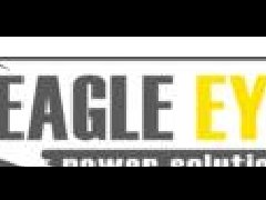 美國Eagle Eye電池測試儀